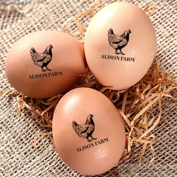 Personalised Egg Stamp with Text Custom Chicken Egg Stamp Mini Egg Marking  Date Stamp Farm Fresh Eggs Stamp